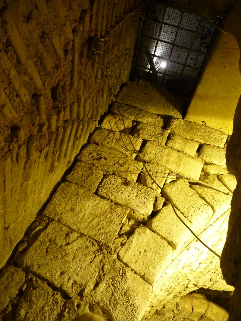 P1030147.JPG